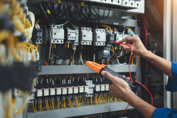 Best Electric Panel Repair  in Downs, IL