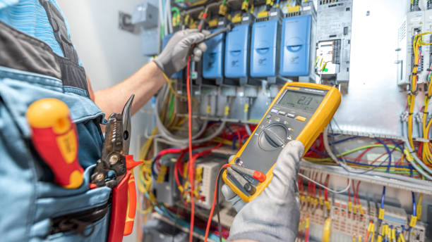 Best Electric Panel Repair  in Downs, IL