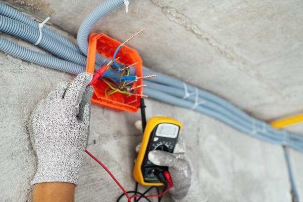 Best Electrical Upgrades for Homes  in Downs, IL